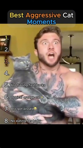 Ranking the MOST AGGRESSIVE cat moments ever caught #catsoftiktok #viral #shorts
