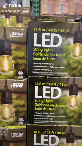 LED String Lights at Costco - $10 Off Now!