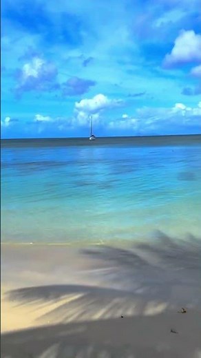 Beautiful Nature Walk Bois Jolan Beach Sainte Anne Guadeloupe #travel #vacation #nature #beach