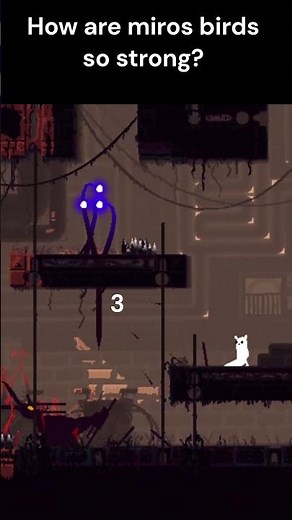 How are miros birds so strong?