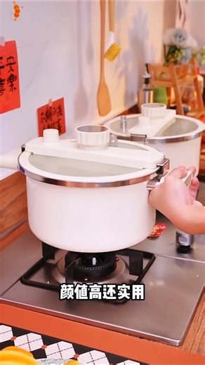 This is the pressure cooker every kitchen should have the price of a regular pot the functions