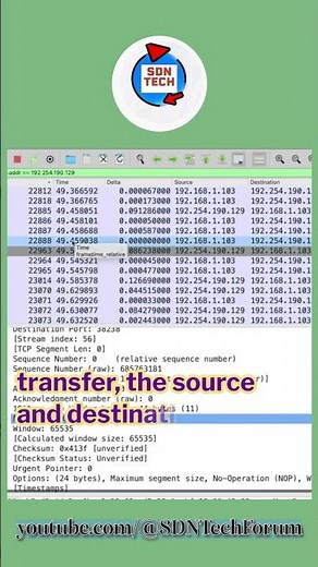 File Transfer Protocol (FTP) - Everything you need to know #sdntechforum #networking #datatransfer