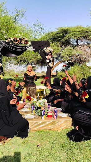 Sareedo picnics على TikTok