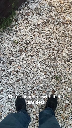 Third Encounter with Mysterious Entities Revealed