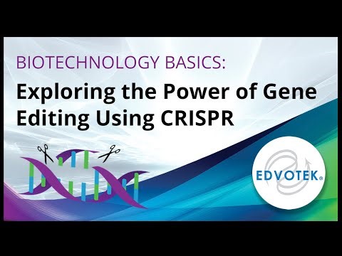 Biotechnology Basics: Exploring the Power of Gene Editing Using CRISPR