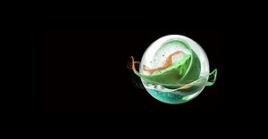 Operations, Industry & Domain Solutions | Deloitte