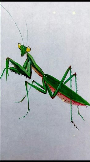 Let's draw a praying mantis together. #drawing #praying #drawingshorts