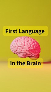19K views · 1.7K reactions | paper: Malik-Moraleda et al. preprint. Functional characterization of the language network of polyglots and hyperpolyglots with precision fMRI. DOI: 10.1101/2023.01.19.524657. #linguistics #language #neuroscience #science #polyglot #LanguageLearning | Linguistic Discovery | Facebook