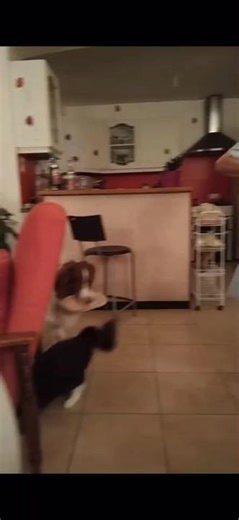 Hilarious Grandma Falling Down the Stairs Meme Compilation