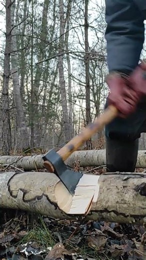 Chopping with Cold Steel Hudson Bay Tomahawk