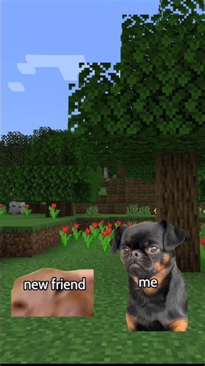 CAT MEMES 😺 Minecraft meme #catmemes #relatable #funny #minecraft