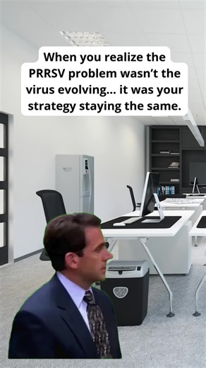 That moment when you adjust the protocol, run a real-world challenge, and suddenly things start moving forward 🧠🐖 Curious about the swine health industry? Check out The Swine Health Blackbelt Podcast for the latest trends and insights. Tune in now: swinehealthblackbelt.com 🎧🎙️ #PRRSV #SwineHealth #VeterinaryMedicine #HerdManagement #SwineProduction
