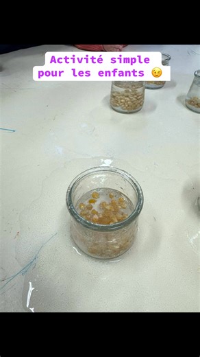 60ml de vinaigre, 1cà soupe de bicarbonate, 2c à soupe de maïs, 120ml d’eau -Mettre le maïs dans le récipient, - verser le vinaigre - verser le bicarbonate - observer. | Association le P'tit Prince
