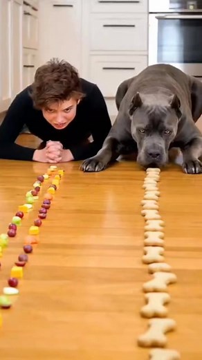 He ate like he had a meeting in 30 seconds 😂 | Brutus Bites