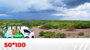 6.1K views · 494 reactions | School is not a scam but school is not everything. Going to school is not a guarantee to success. After school, life will teach you what you were not thought in school | Mofarm JM | Facebook