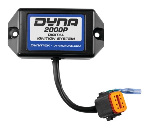 The Indian Larry Twisted Frame Chopper | J&P Custom Motorcycle Builds