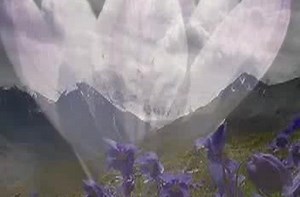 "Одинокий пастух"