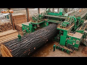 Inside North America’s Oldest Family Sawmill: From Forest to Lumber | Full Wood Production Journey
