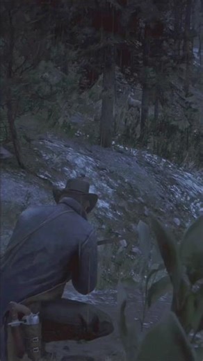 Howe makes Night Bow Hunting for White-Tailed Deer