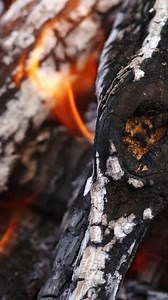 Download Smoldering logs background. Wood is burning in fire for barbecue. Combustion of wood. Wood turning into charcoal in fire. Close-up. Vertical for free