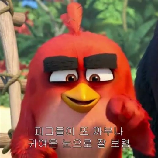 🎬Angry Birds Funny Cartoon Clips 😂 | Best Moments | Toon Kingdom