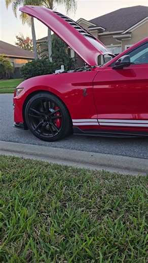 Who's ready for some 2021 GT500 content? Svtgarage is getting our hands on this beginning of 26