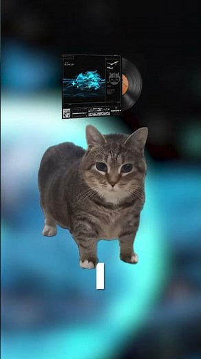 Rad Cat Reason (oia cat version) #cs2 Music Kit