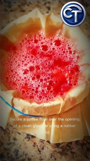How to Extract DNA from a Strawberry! 🧬🍓 #ScienceExperiment