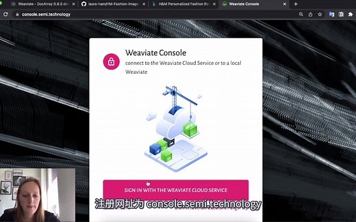 【在线教程】用 DocArray 和 Weaviate 进行图像搜索