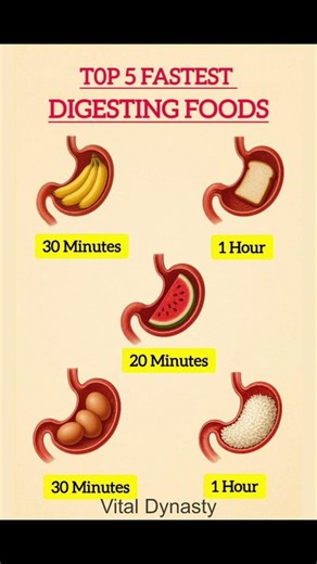 "These 5 Foods Digest Super Fast — Here's Why! | Digestive Health Tips