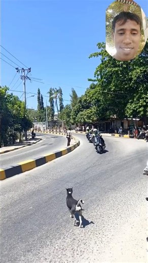 LOL AGAIN, RACING A BICYCLE, AND SUDDENLY A DOG PASSES BY #funnyvideo