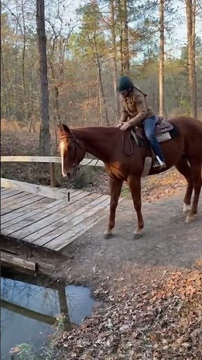 Horses Terrified Of The Most Random Things #Shorts #Shorts