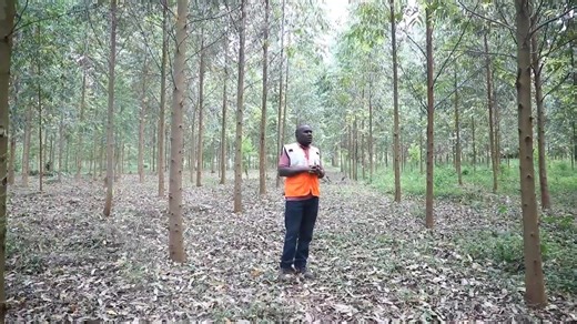 The UEDCL–ECO approach strategically aligns our corporate objectives with economic transformation, community empowerment and environmental sustainability. This video showcases how our tree-planting initiative is strengthening livelihoods, restoring ecosystems, and creating shared value for present and future generations. #UEDCLinService #UEDCLinCommunityService #LightingUpYourWorld