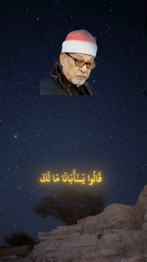 سورة يوسف #سورة_يوسف #الشيخ السيد سعيد #القرآن_الكريم #quran #المصحف