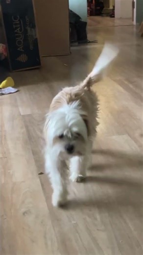 POV: you’re trying to understand slag not from your generation