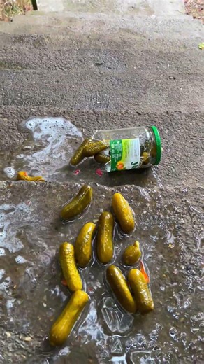 💣 This Glass Bottle Break Compilation Goes Hard! #shorts #wow #viral