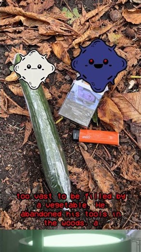 Do 19 Cigarettes and a Cucumber Count As a Picnic? 🧺