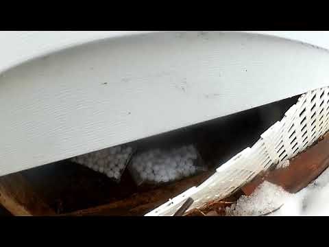 Using moth balls to get rid of skunks under your house.....