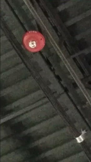 System Sensor L Series SPSCRL Speaker Strobe