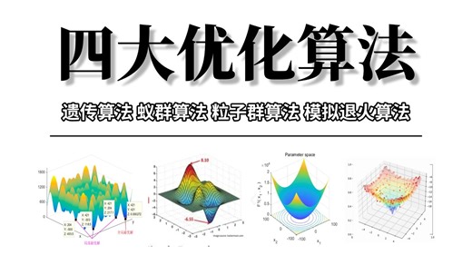 【2026优化算法讲解课程】模拟退火算法、粒子群算法、遗传算法、蚁群算法等等四大优化算法全程通俗易懂！学不会来打我！机器学习/深度学习/人工智能/优化算法
