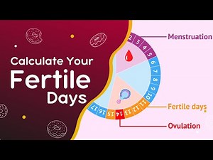 How to Calculate Fertile Days for Pregnancy | Simple Guide