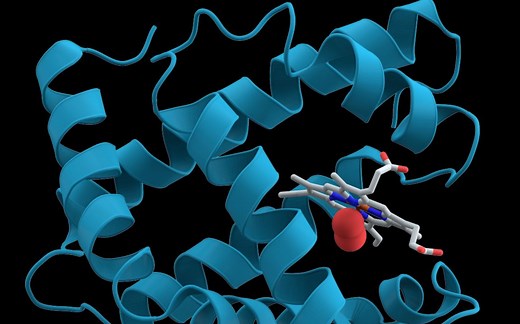 结构生物学-Crystallography简介 (双语字幕)