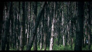 Dog | movie | 2016 | Official Trailer