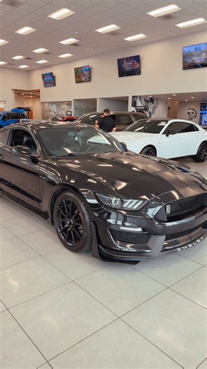 Shelby GT350 is still a head-turner. 🐍🔥