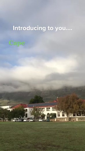 Introducing Cape Town High School's Exciting Extracurricular Activities
