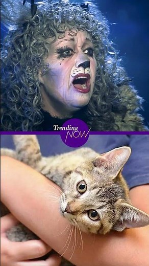 It's International Cat Day