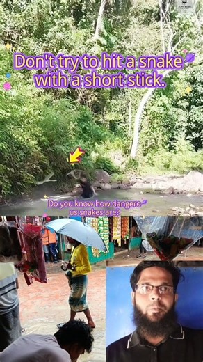 ✅Do you know how dangerous snakes are? #Dangerous #snakes | Azim ullah 3