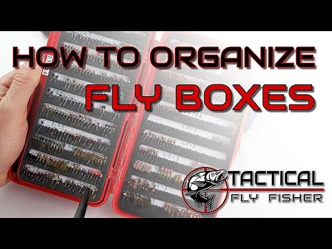How to organize fly boxes