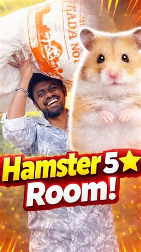 😇காசே இல்லாமல் Hamster வீடு கட்ட Poran 🐹 | Balasvoyage