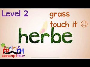 Endless French Concept 4: All-New Level 2 Words